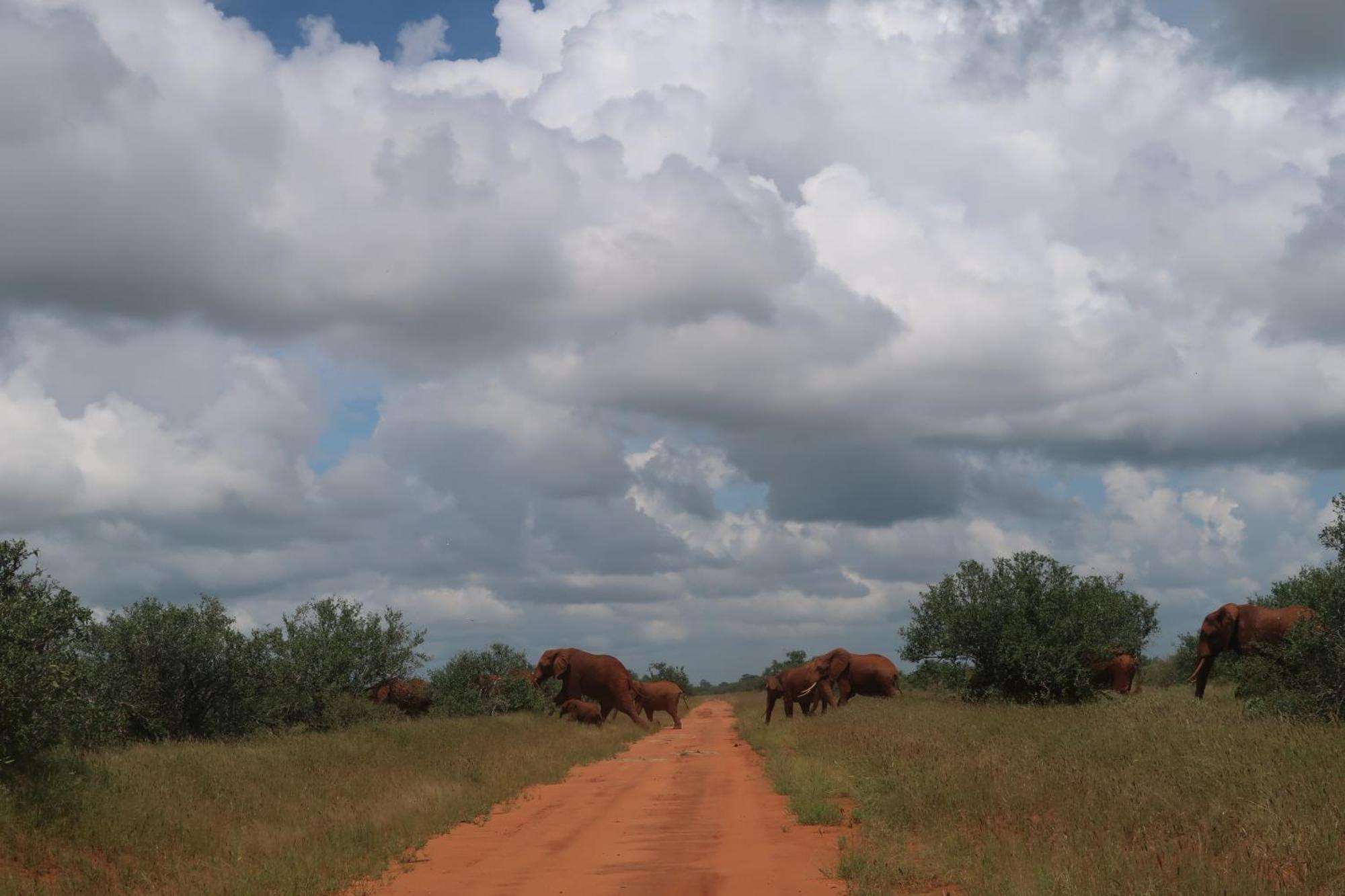 Tausa Tsavo Eco Lodge Voi Esterno foto